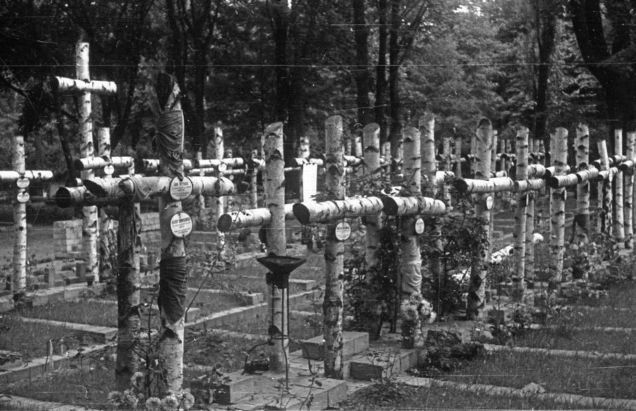 Brzozowe krzyże na grobach żołnierzy Batalionu „Zośka”