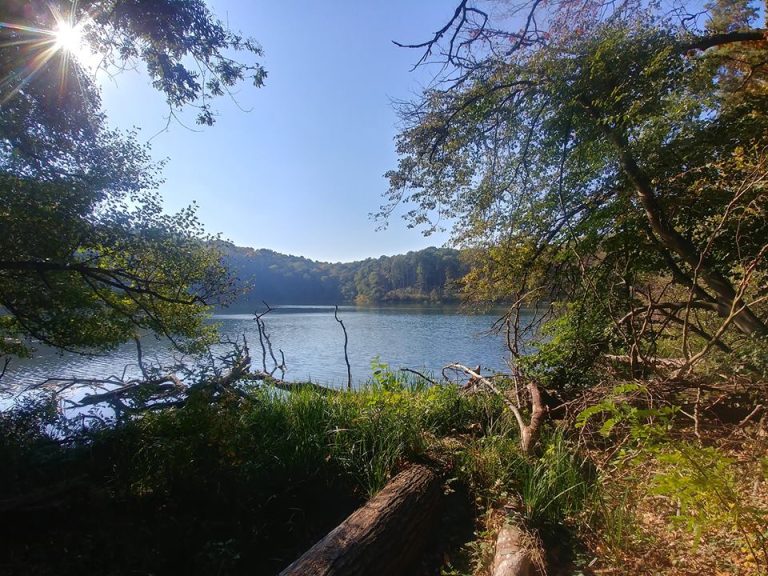 Adam Wodziczko: A Polish Trailblazer in Nature Conservation | Warsaw ...